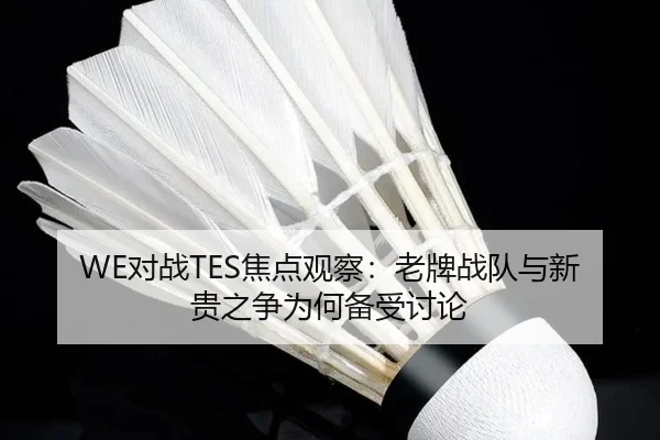 WE对战TES焦点观察：老牌战队与新贵之争为何备受讨论